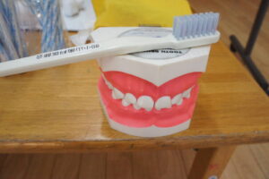 歯磨き講座（石崎）