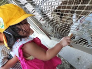 動物小屋に散歩へ行ったよ！(入野)