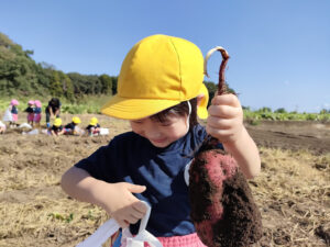 さつまいも掘り（神山）