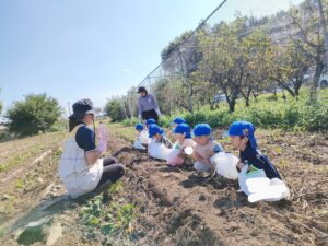 さつまいも掘りをしたよ！（石川）