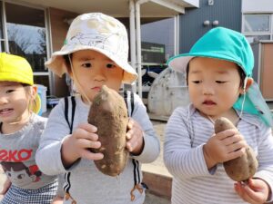 大きなさつまいもが採れたよ！（宮嶋）