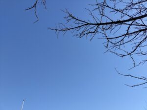 青い空（宮嶋）