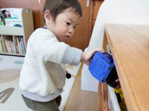 スクラップブッキング(森)