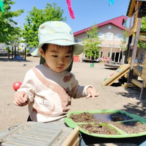 本日のちゅうりっぷ組☆(小嶋)