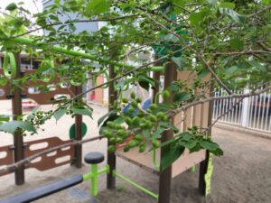 5月の始まりです！（宮嶋）