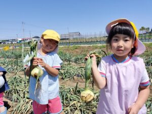 玉ねぎ抜きにいったよ！（田中）