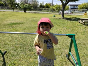 今日のたいよう組☀（牧田）