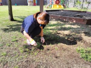 朝の清掃の時間☆彡（松丸）