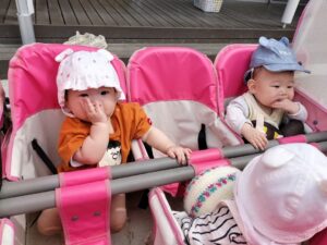 戸外で遊んだよ！(鳥居)