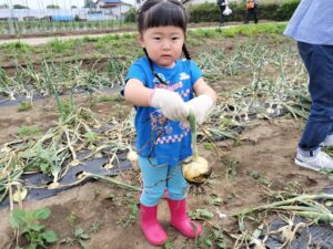 ☆「てんとうむしキッズ・たまねぎ抜き」☆(上園)