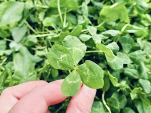 たくさん遊んだよ☆（西村）