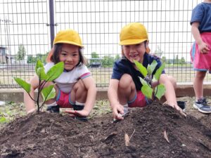 野菜の苗植えをしたよ！（田中）