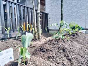 給食美味しかったね♪（西村）