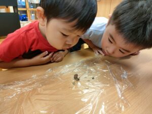 体操と戸外遊びをしたよ♪(尾崎)