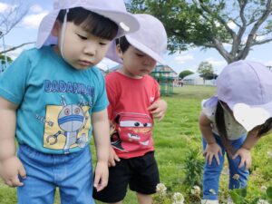 虫探しをして、美味しいおやつを食べたよ♡(下妻)