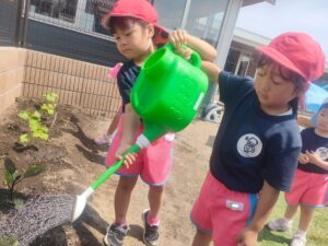 午前中の活動の様子（坂本）