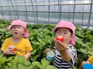 いちご狩りに行ってきました☆（鈴木）