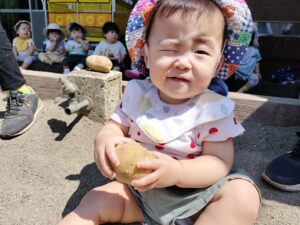 初めてのじゃがいも堀り（渡辺）