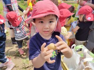 ６月20日　じゃがいも掘りをしたよー！(内木）