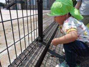 第二園庭で自然探し♪　（橋本）