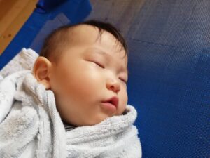 今日のあひる組☆（渡邊）