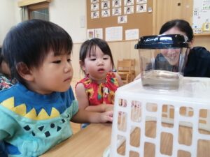 おたまじゃくし☆カエルさんが遊びに来たよ！（青木）