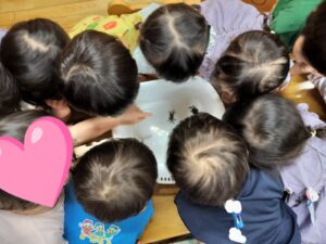 夏休み最終日♡(大橋)