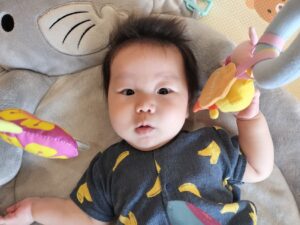 これなんだ？（福田）