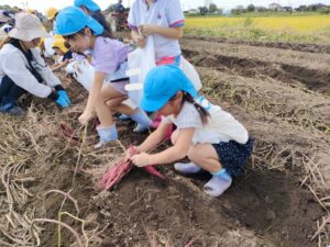 さつまいも掘りにいったよ！（新村）