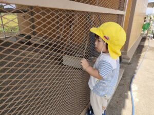 9月24日　保育参観1日目♡(斎藤)