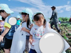 さつまいも掘り☆（水沼）