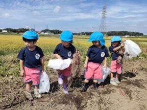 さつまいも掘り（坂本）