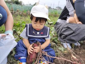 ☆「てんとうむしキッズ・さつまいも掘り」☆（青柳）