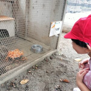 本日のちゅうりっぷ組（野澤）