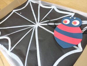 クモの巣？(奥村)