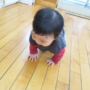 本日のちゅうりっぷ組（野澤）