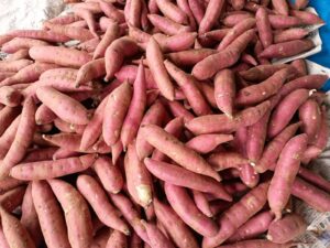 焼き芋を作ろう！🍠（小井田）