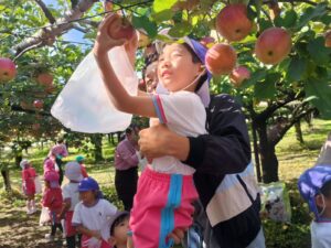 りんご狩り(小井田)