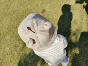 11月4日　今日のかなりや組（五十嵐）