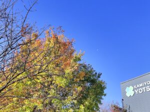 外は気持ちがいいね！（宮嶋）