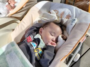 今日も可愛いおおるり組（小原）