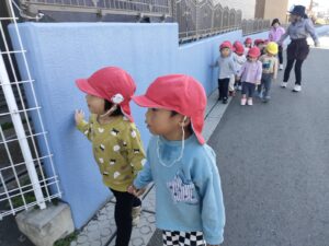 11月12日　☆散歩に行ったよ(田口)☆