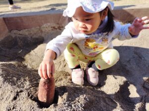 大きなさつまいもが採れたよ！（宮嶋）
