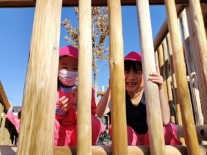 最近のうさぎ組（石井）