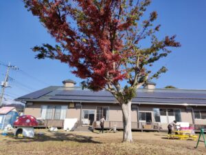 11月28日　秋を見つけたよ♪（井上）