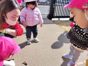 本日のかえで組♡(神野)