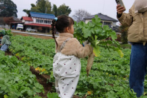 12月3日　全キッズ☆大根抜き（舘野）