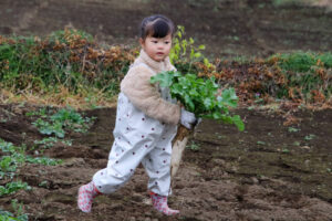 ☆「てんとうむしキッズ・大根抜き」☆（青柳）