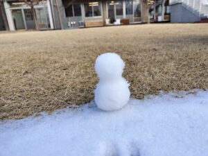 本日のつぐみ組（齋藤）