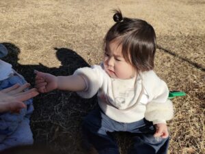 初めての雪！(鳥居)